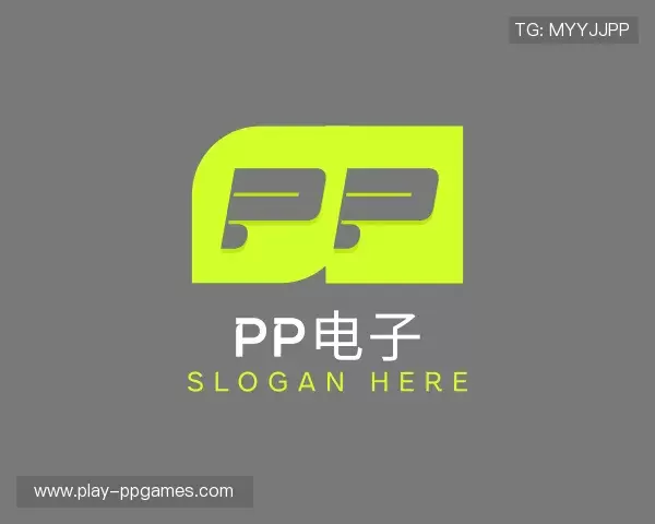 介绍pp电子